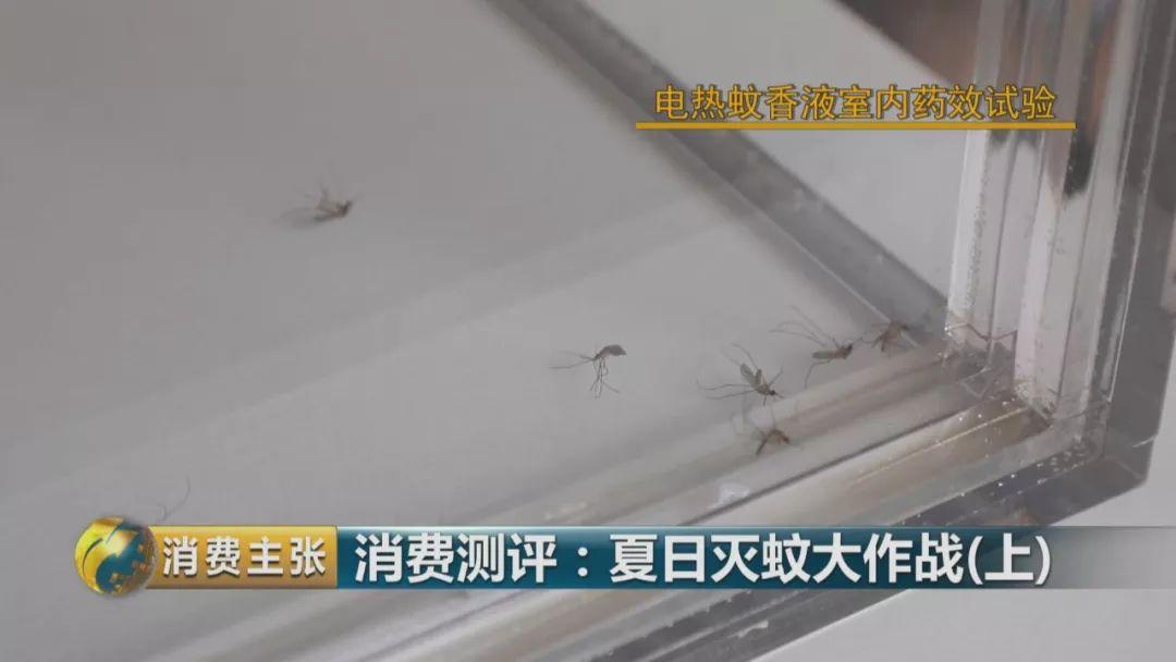 哪个牌子的灭蚊灯效果好_灭蚊灯牌子_灭蚊灯哪个牌子好用有效