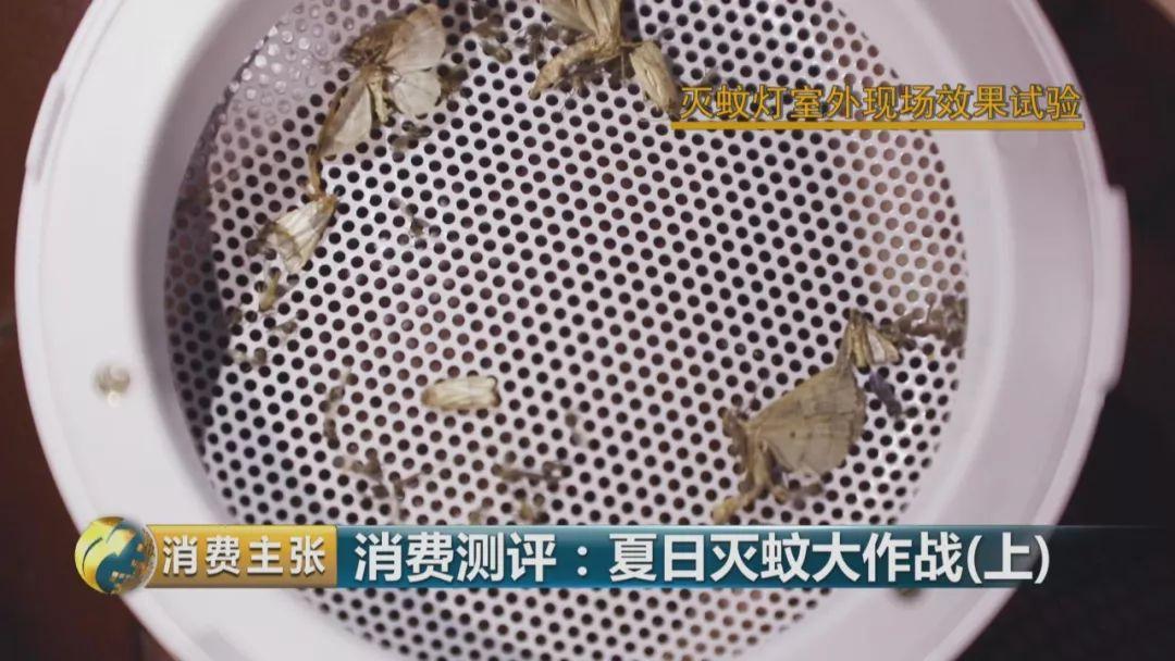 灭蚊灯牌子_哪个牌子的灭蚊灯效果好_灭蚊灯哪个牌子好用有效