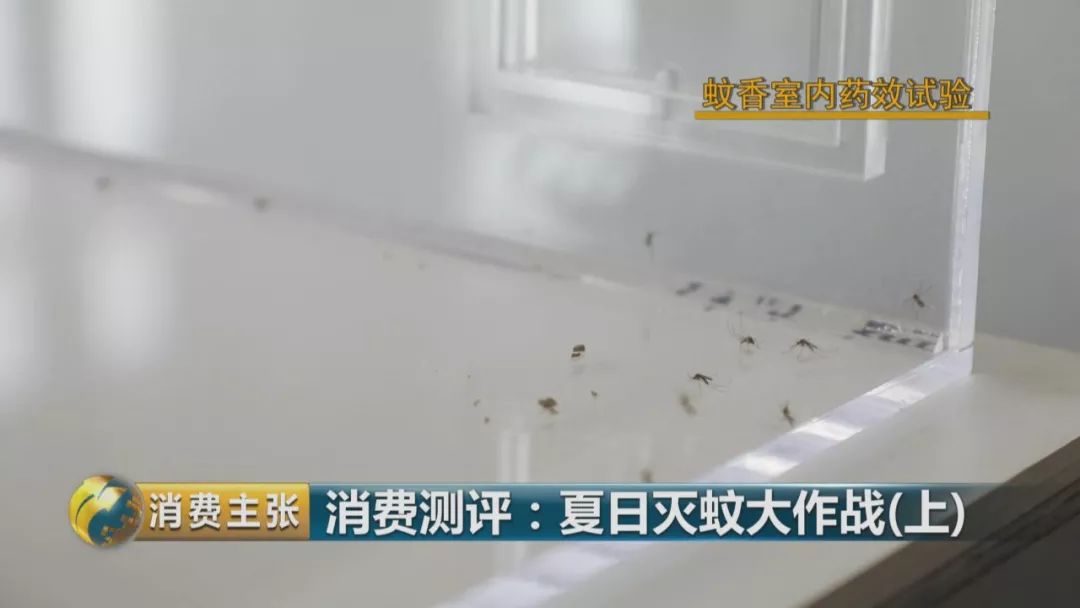灭蚊灯牌子_哪个牌子的灭蚊灯效果好_灭蚊灯哪个牌子好用有效