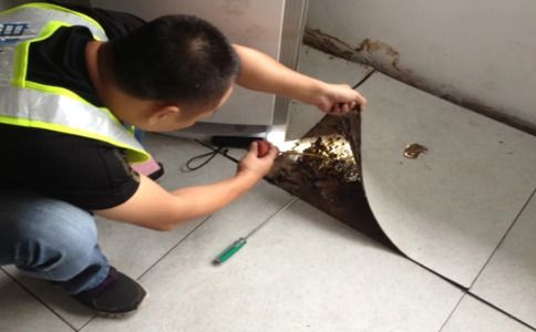 家庭除白蚁攻略：多招应对，彻底解决！