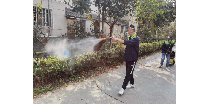 小区灭苍蝇的药,灭
