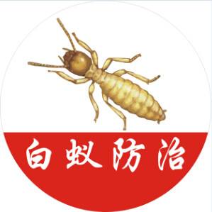 常州白蚁中心，上门除白蚁-白蚁站。