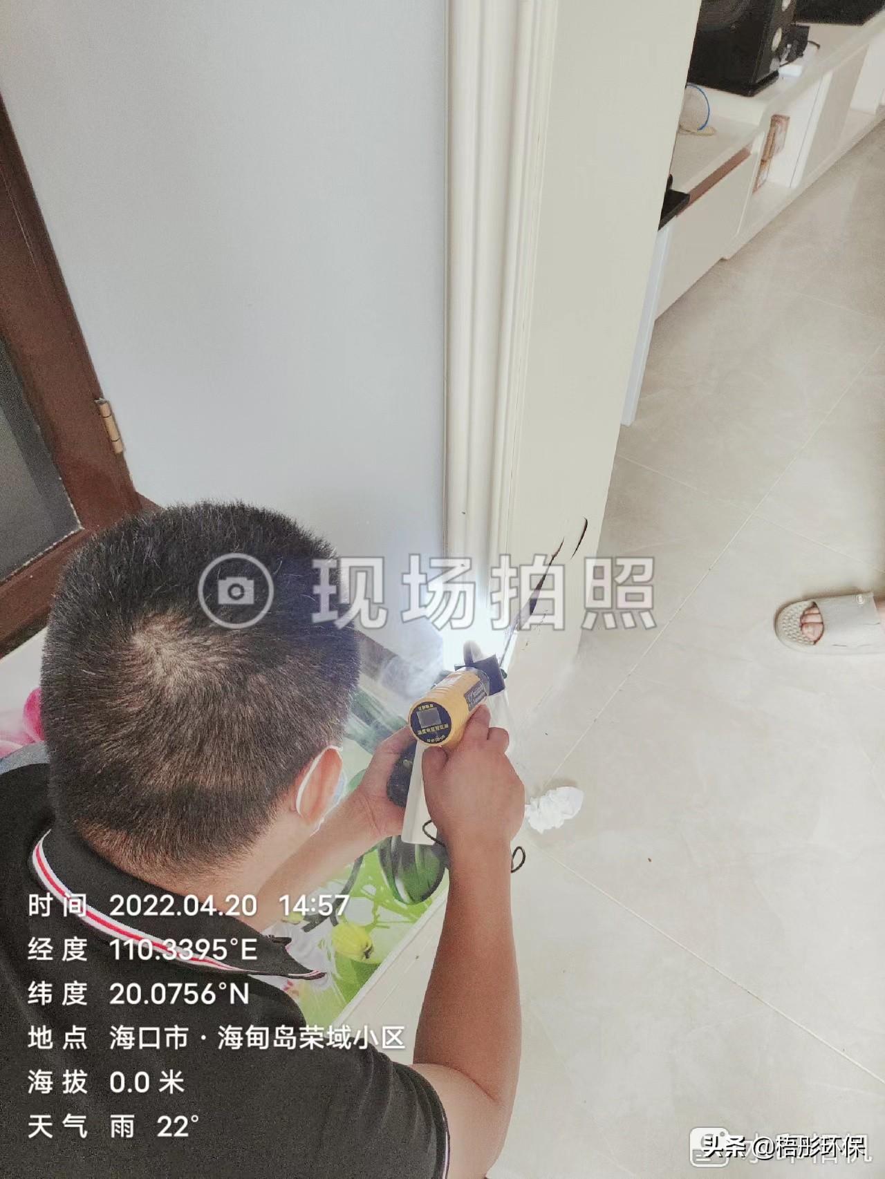 白蚁出现在家里怎么办_白蚁处理家里有什么好处_家里有白蚁怎么处理