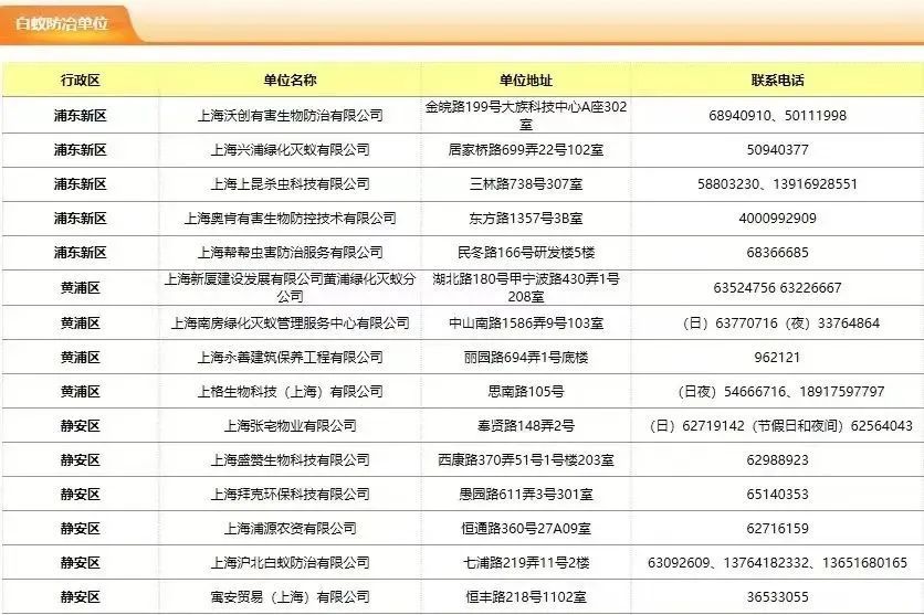 白蚁处理家里有甲醛吗_白蚁家里_家里有白蚁怎么处理