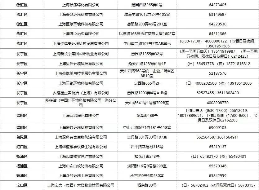 白蚁处理家里有甲醛吗_家里有白蚁怎么处理_白蚁家里