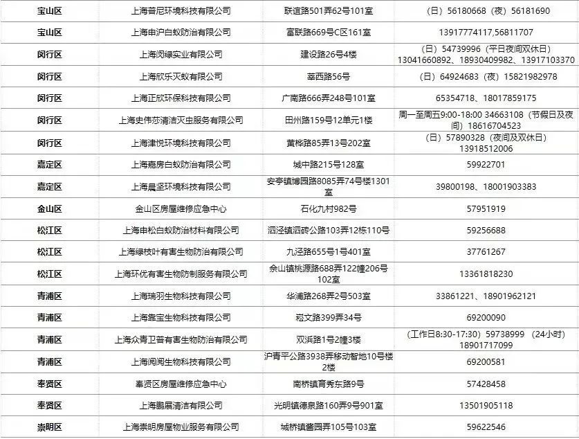 白蚁处理家里有甲醛吗_家里有白蚁怎么处理_白蚁家里