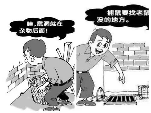 灭老鼠最好的方法_灭老鼠窍门_灭老鼠绝招