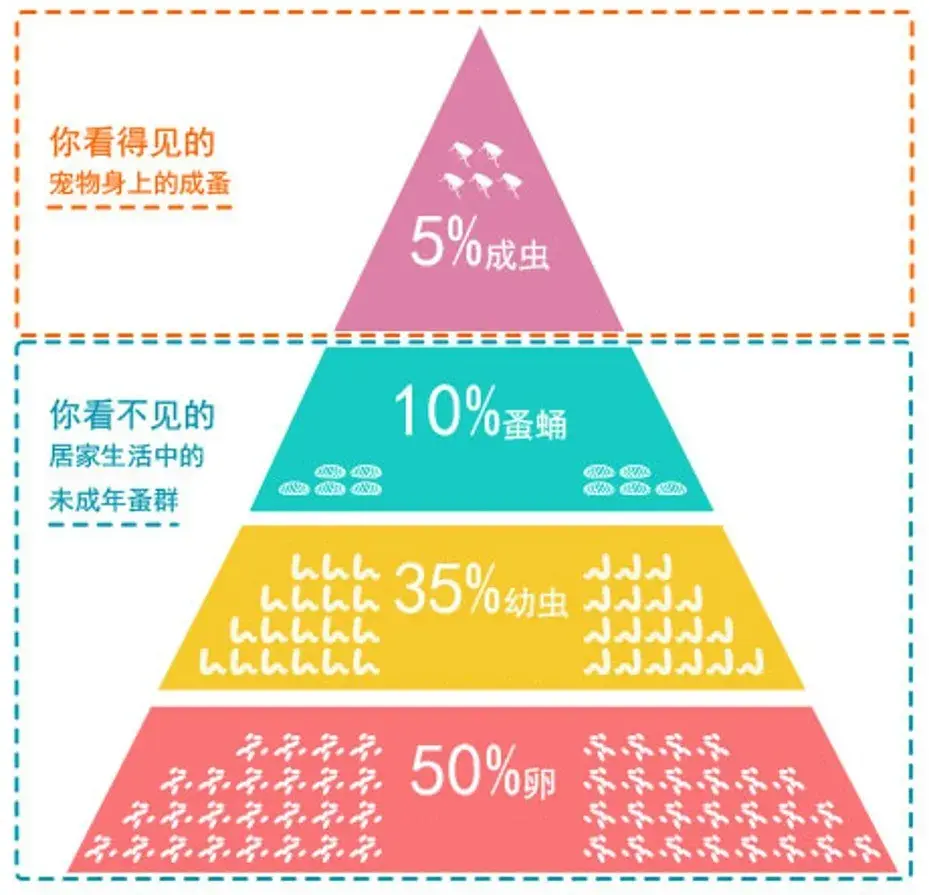 灭跳蚤用什么方法最管用_灭跳蚤最有效的土方法_灭跳蚤最快的方法