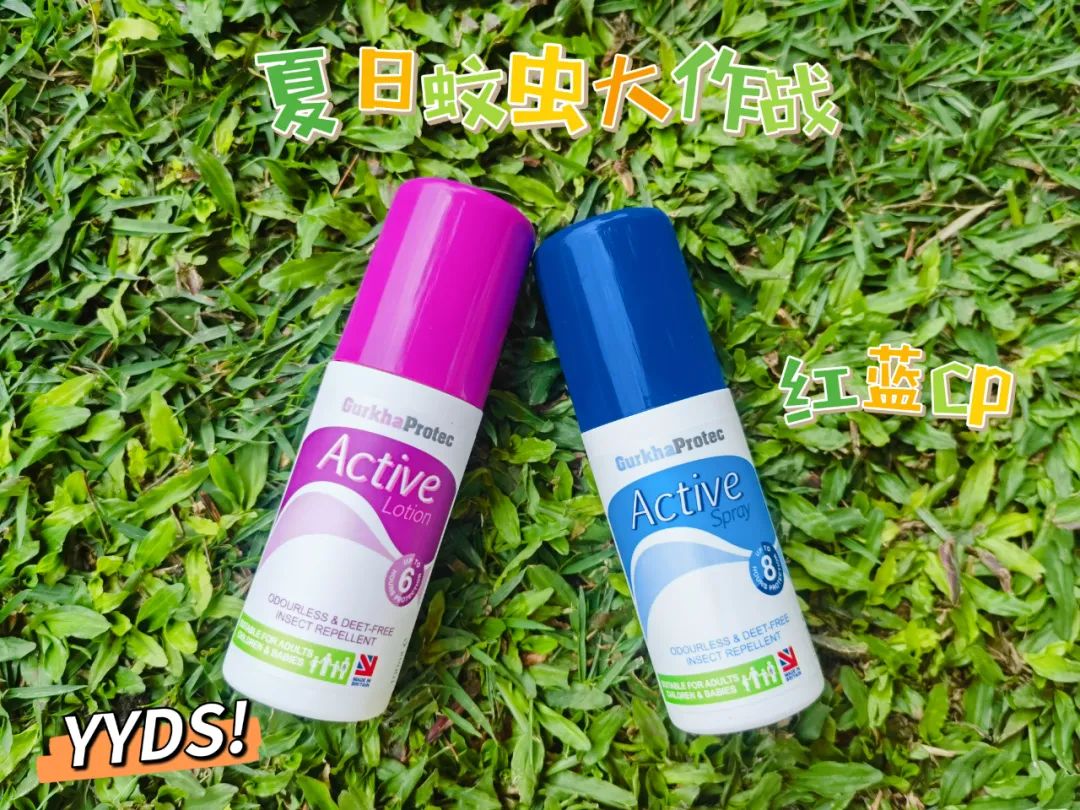 家庭怎样灭蚊_家庭灭蚊虫最好的方法_家里如何灭蚊虫