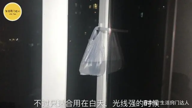 苍蝇实用驱赶办法简单描述_驱赶苍蝇最简单实用的办法_苍蝇实用驱赶办法简单说明