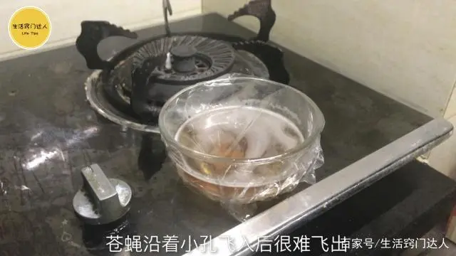 苍蝇实用驱赶办法简单描述_驱赶苍蝇最简单实用的办法_苍蝇实用驱赶办法简单说明