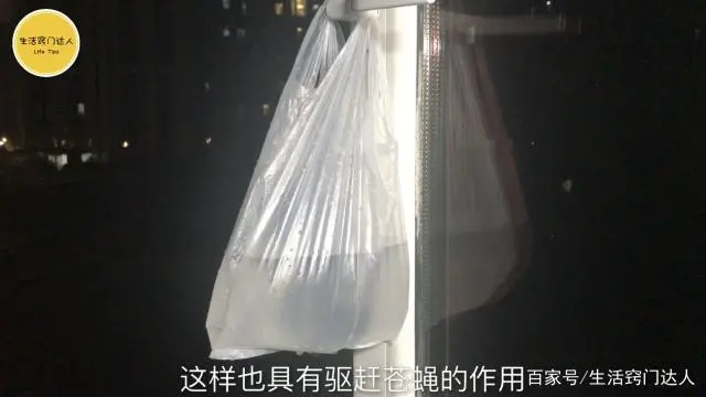 苍蝇实用驱赶办法简单说明_驱赶苍蝇最简单实用的办法_苍蝇实用驱赶办法简单描述