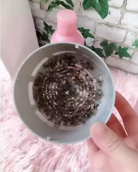 灭蚊子灯有用吗_灭蚊子的灯管用吗_灯子灭蚊用有什么好处