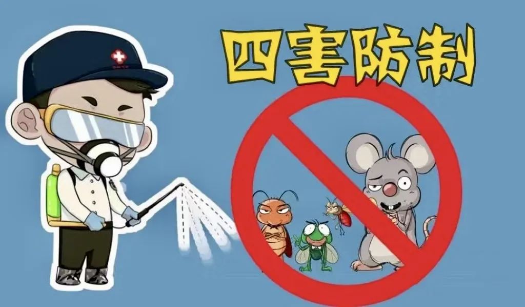 苍蝇杀灭_室内灭苍蝇_家里灭苍蝇