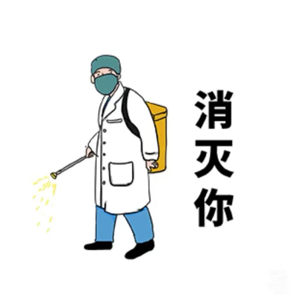 苍蝇杀灭_家里灭苍蝇_室内灭苍蝇