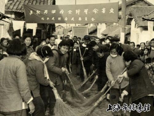 灭老鼠公司_武汉灭老鼠公司_杭州灭老鼠