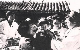 武汉灭老鼠公司_灭老鼠公司_杭州灭老鼠