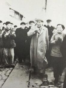 武汉灭老鼠公司_杭州灭老鼠_灭老鼠公司