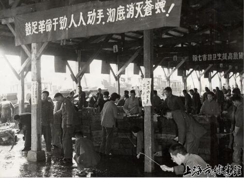 灭老鼠公司_武汉灭老鼠公司_杭州灭老鼠