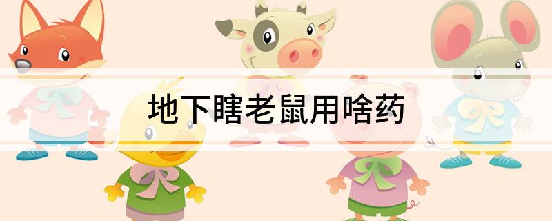 药老鼠药都是什么药_灭老鼠的药特效药_药老鼠最有效的食物配方